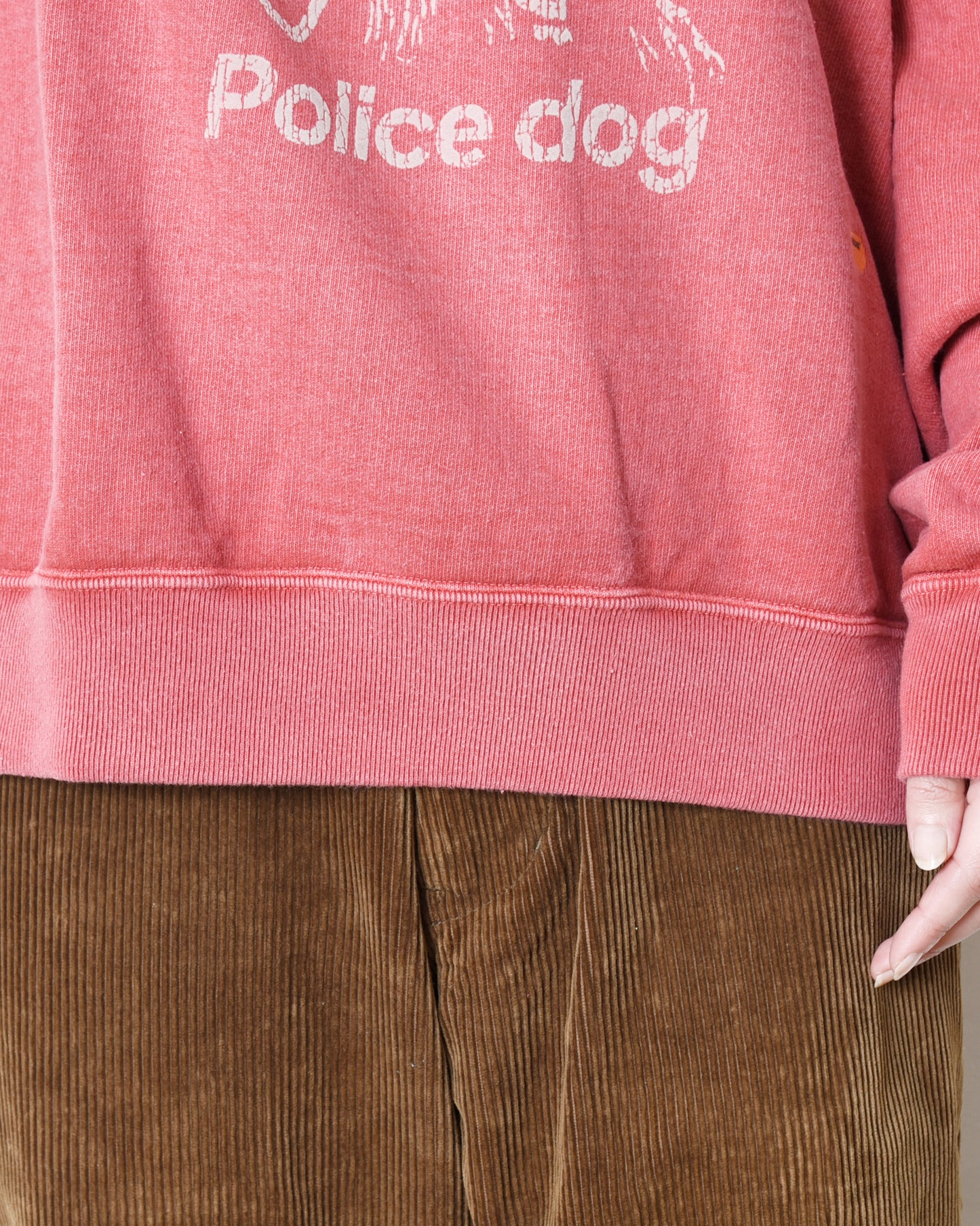No,10 Crew(DOG)
