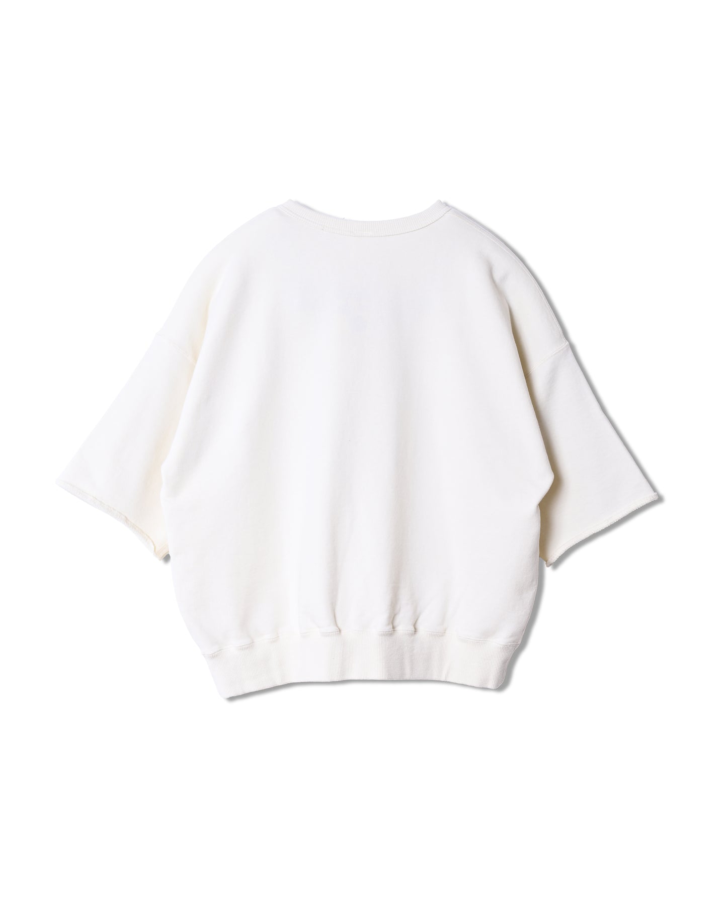 LW Half Zip Chop Sleeve