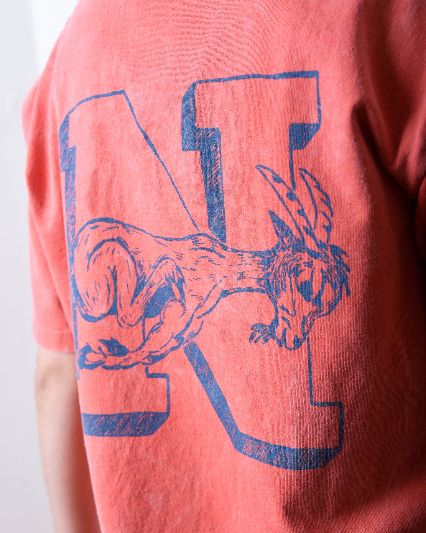 GIANT Tube PG Print S/S TEE(DO IT BEST)
