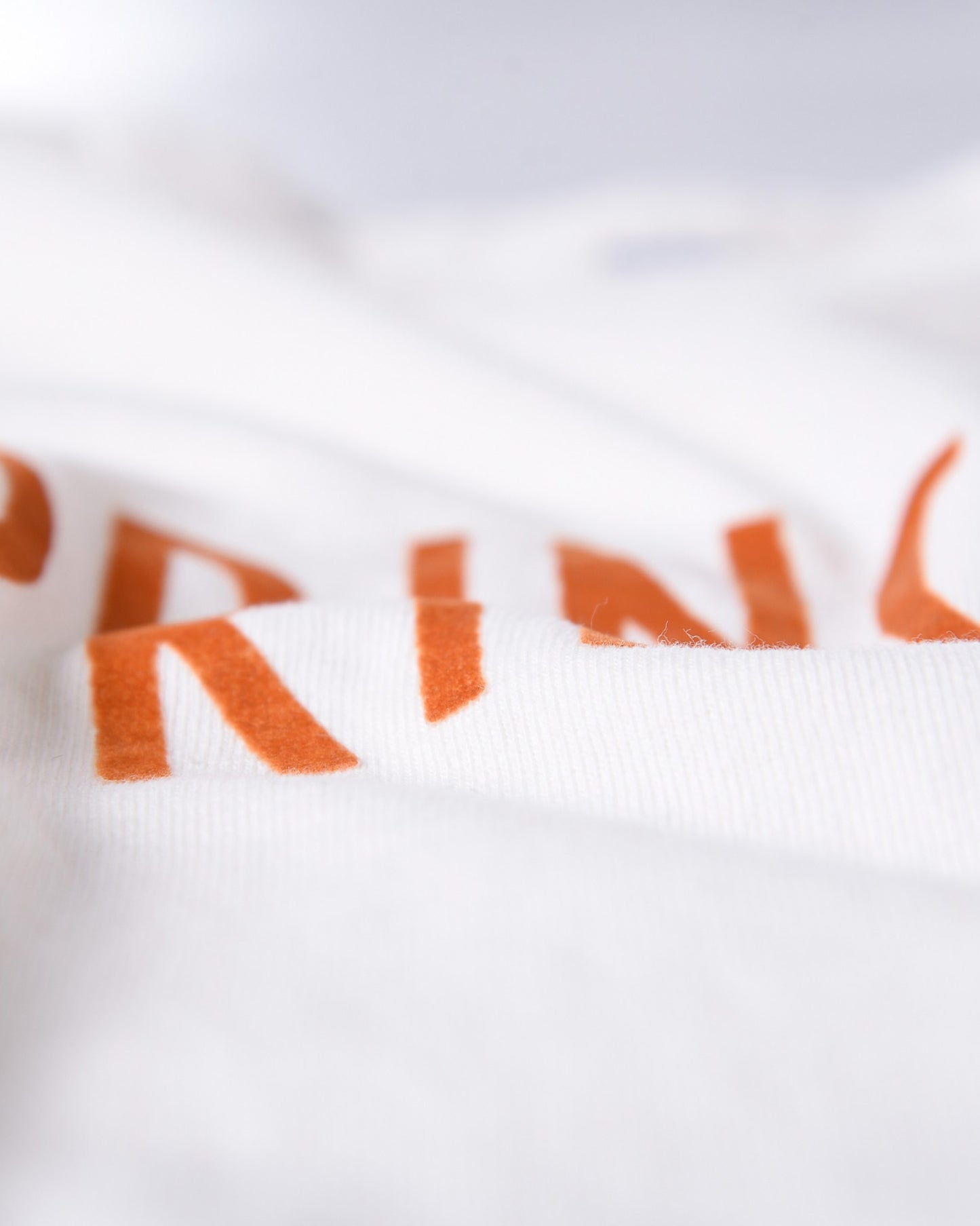 18//- BB TEE(PRINCETON)